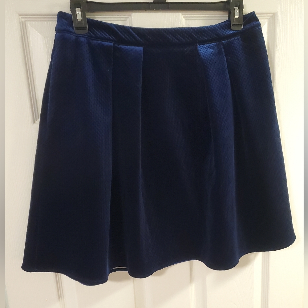 Navy Velvet Pleated Skirt with Back Zipper Size 12